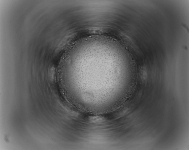 X0000103490511200809191925