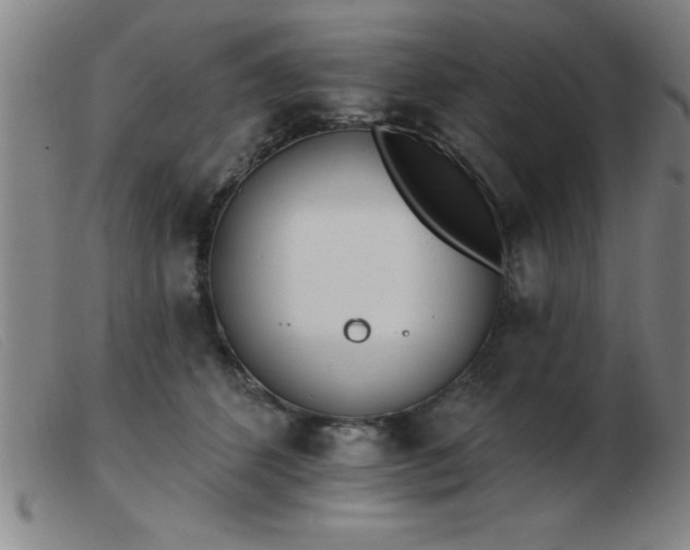 X0000103490512200809191925