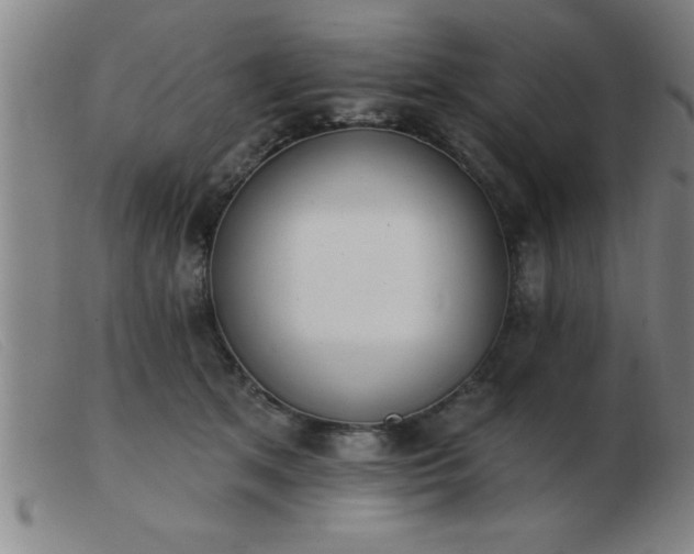 X0000103490513200809191925