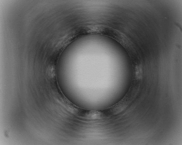 X0000103490514200809191925