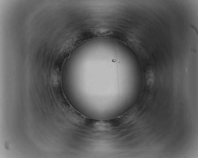 X0000103490515200809191925