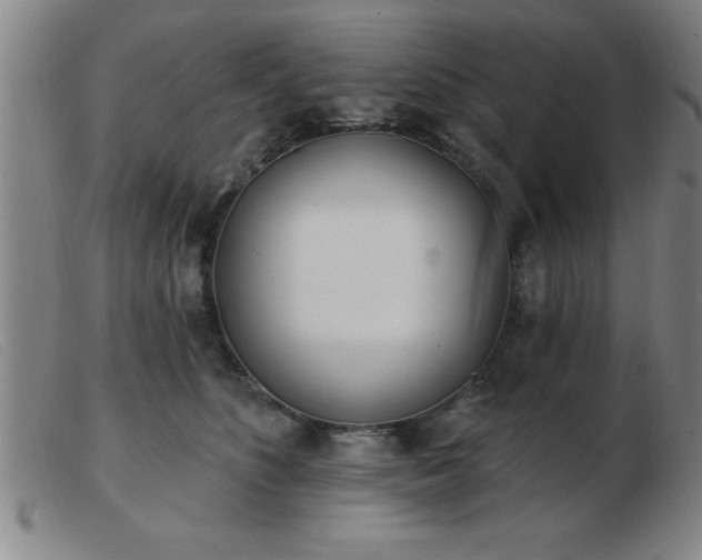 X0000103490516200809191925