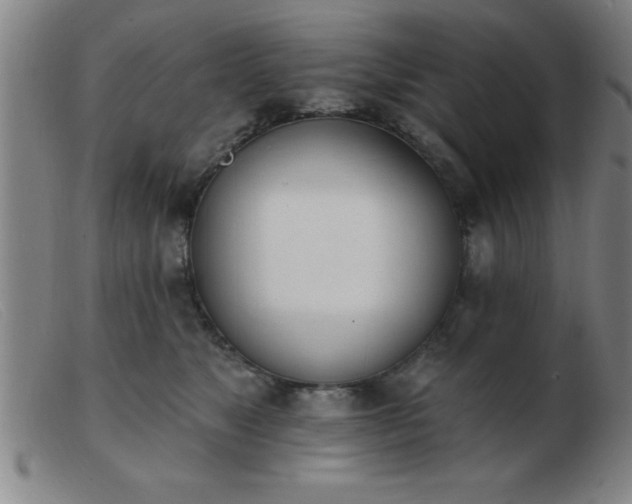 X0000103490517200809191925