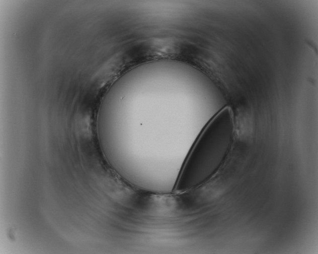 X0000103490520200809191925