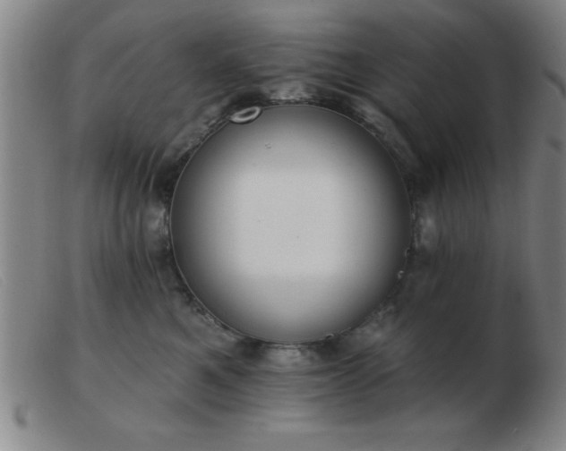 X0000103490521200809191925