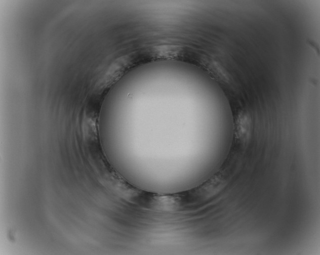 X0000103490522200809191925