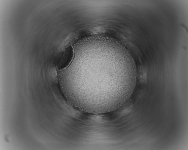 X0000103490523200809191925