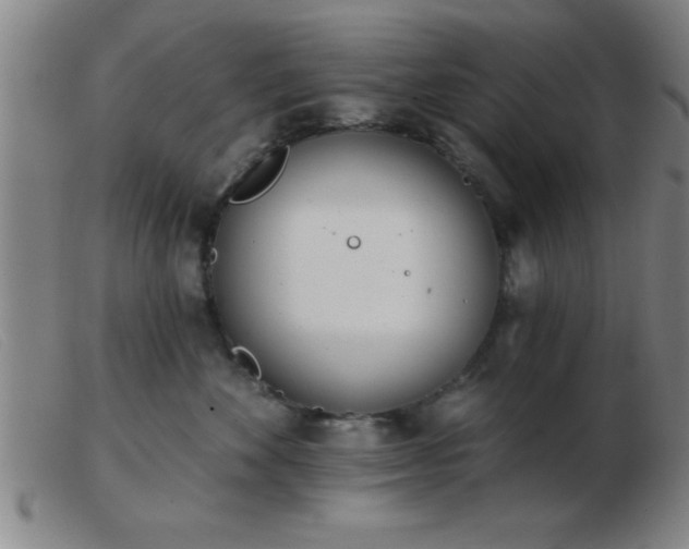 X0000103490524200809191925