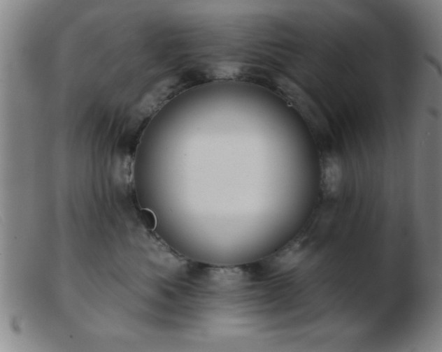 X0000103490525200809191925