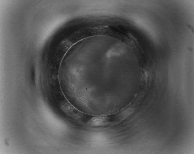 X0000103490526200809191925