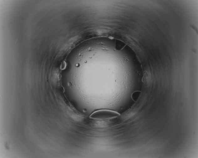 X0000103490527200809191925