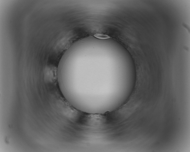 X0000103490528200809191925