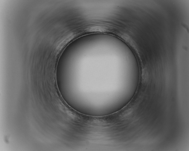 X0000103490529200809191924