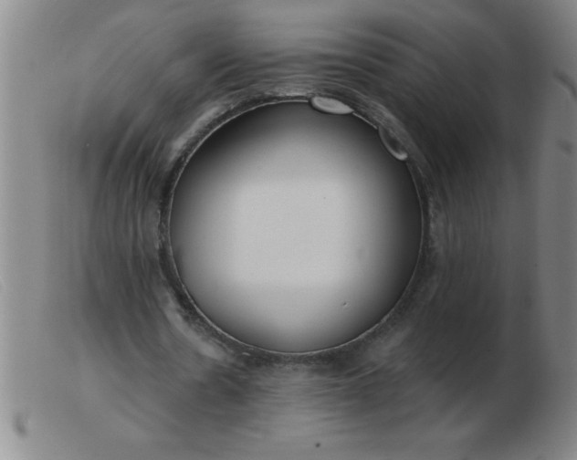 X0000103490530200809191924