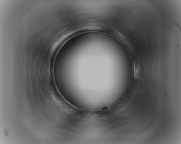 X0000103490531200809191924