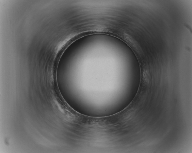 X0000103490532200809191924