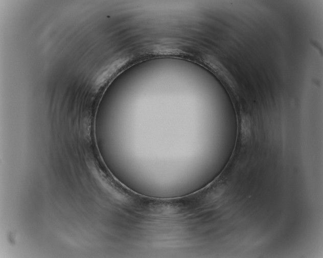 X0000103490533200809191924