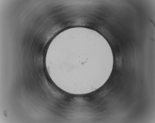 X0000103490534200809191924