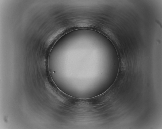 X0000103490535200809191924