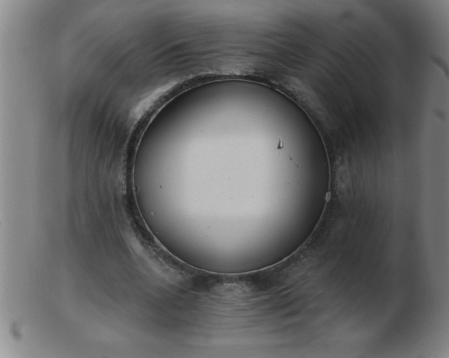 X0000103490536200809191924