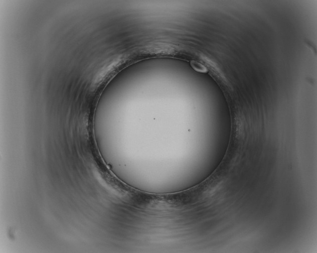 X0000103490538200809191924