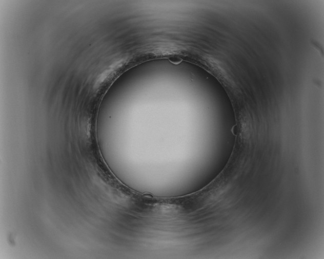 X0000103490539200809191924