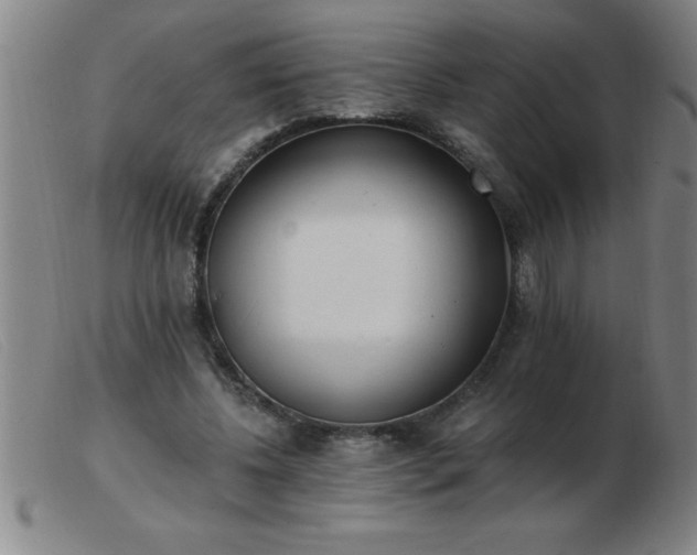 X0000103490540200809191924