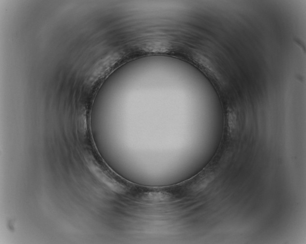 X0000103490541200809191924