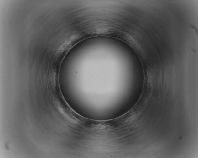 X0000103490542200809191924