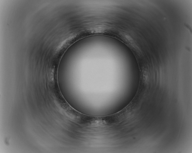 X0000103490543200809191924