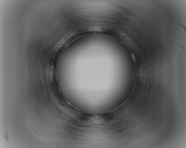 X0000103490544200809191924