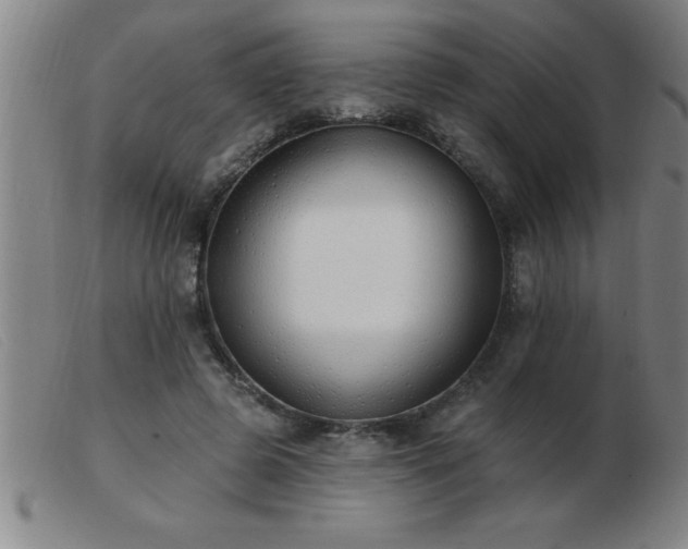 X0000103490545200809191924