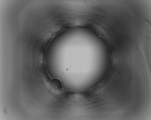 X0000103490546200809191924