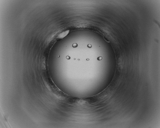 X0000103490547200809191924