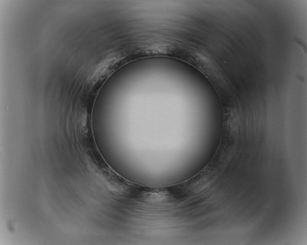 X0000103490548200809191924