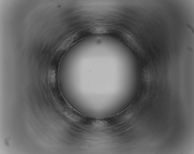 X0000103490549200809191924