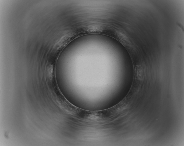 X0000103490550200809191924