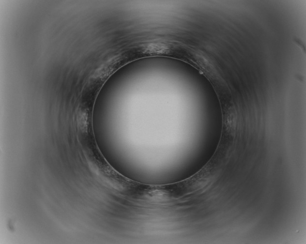 X0000103490551200809191924