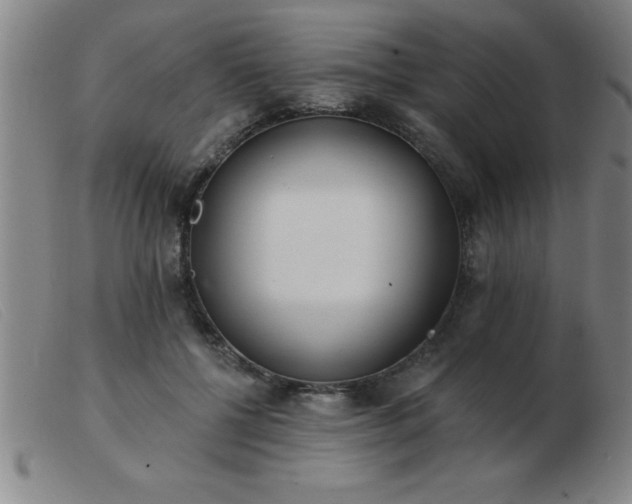 X0000103490552200809191924