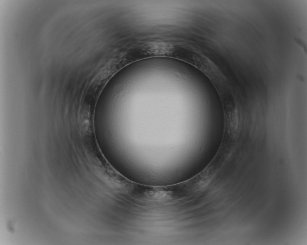 X0000103490553200809191924