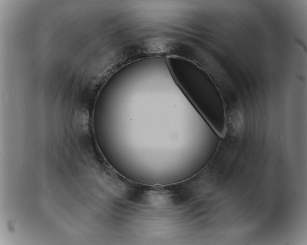 X0000103490556200809191925