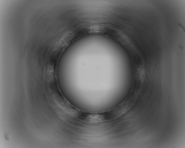 X0000103490557200809191925