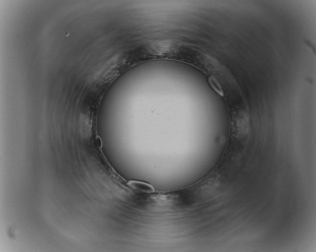 X0000103490558200809191925