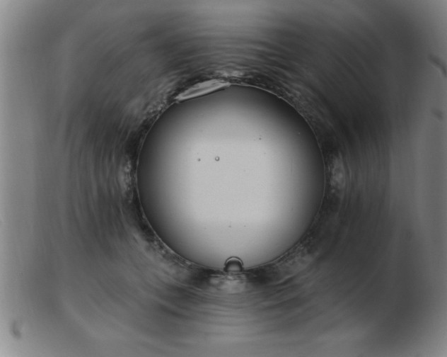 X0000103490559200809191925