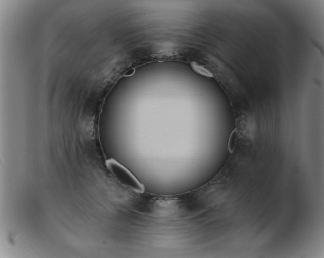 X0000103490560200809191925