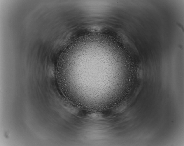 X0000103490561200809191925