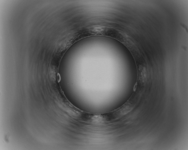 X0000103490562200809191925