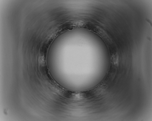 X0000103490564200809191925