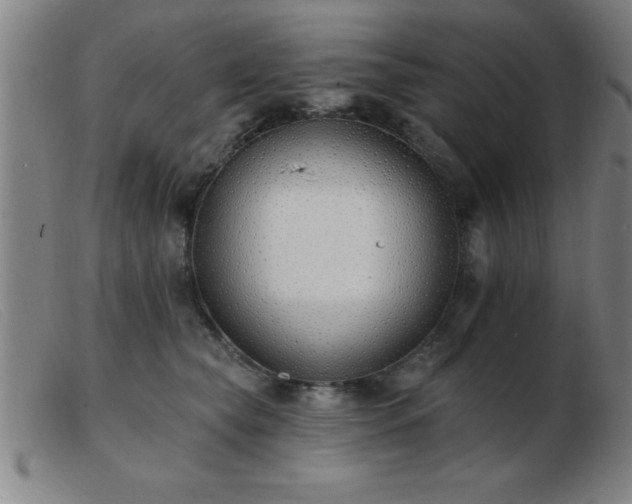 X0000103490565200809191925