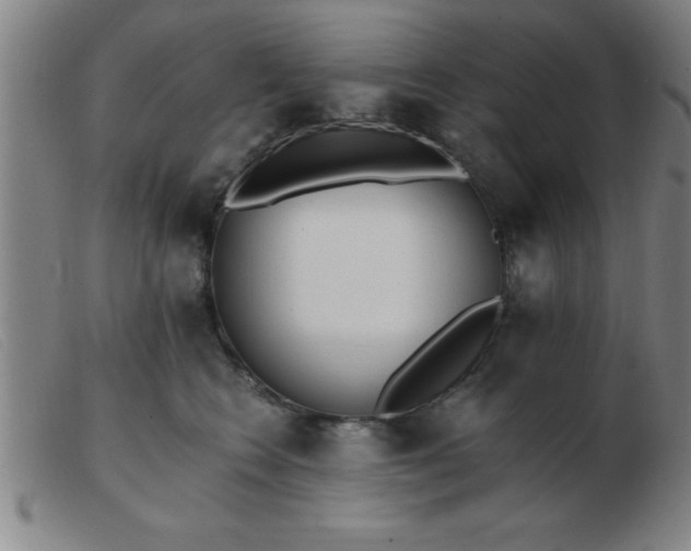 X0000103490566200809191925